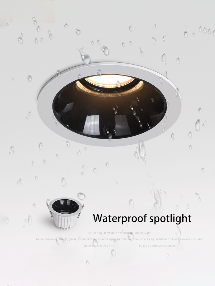 BRGT Led Waterproof Spotlight  - Commercial Kitchen Light 评论和价格